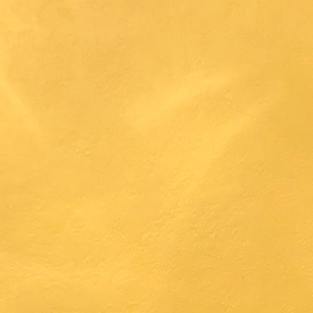 Meet your Posher, Taryn